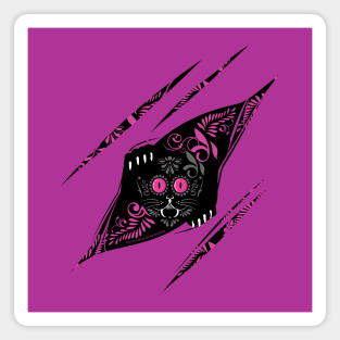 Peekaboo pink cat Magnet